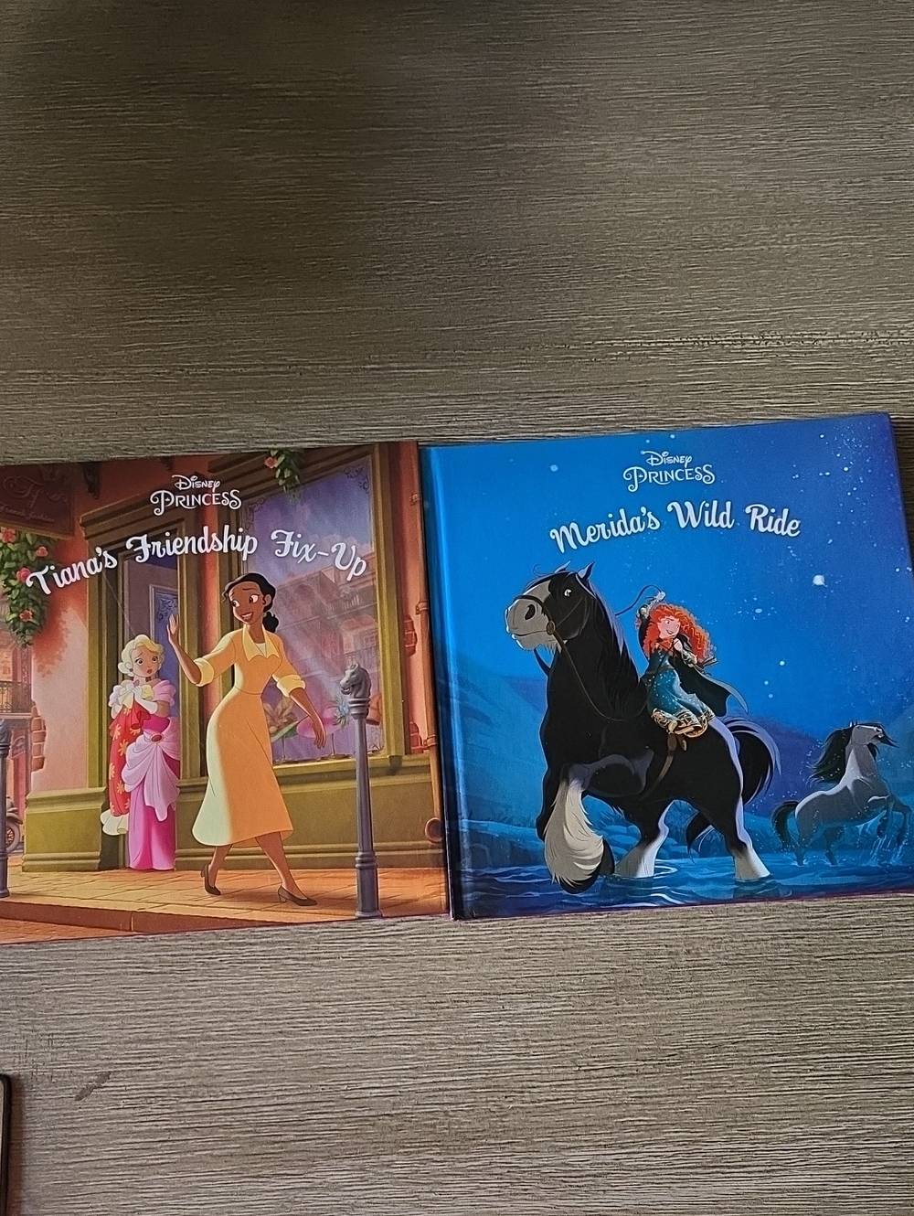 Board Book Set - Tiana's Friendship Fix-Up & Merida's Wild Ride (Blue, Multi)